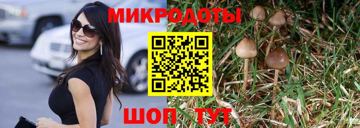 Псилоцибиновые грибы GOLDEN TEACHER  Вход с VPN  купить закладку  Карасук 
